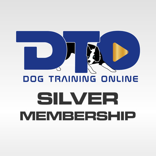 Silver-Membership